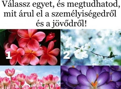 BÖKJ rá a legszebb virágra! Válassz egyet, és megtudhatod, mit árul el a személyiségedről és a jövődről!