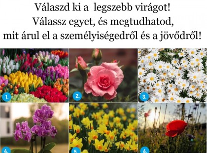 Válaszd ki a  legszebb virágot! Válassz egyet, és megtudhatod, mit árul el a személyiségedről és a jövődről!