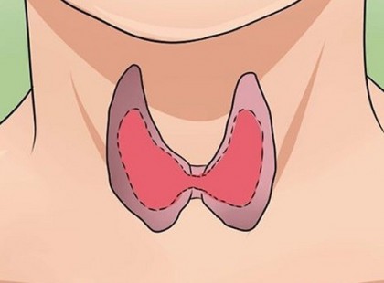 A pajzsmirigy alul működésének 11 rejtett tünete, és amit ellene tudsz tenni