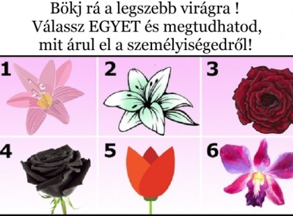 Melyik virágot tartod a legszebbnek az alábbiak közül? Válassz és megtudhatod, mit árul el a személyiségedről!