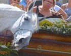 A férfi tragikus körülmények között meghal. Temetésén lova olyat tesz, hogy...