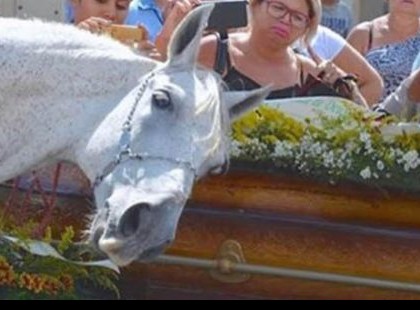 A férfi tragikus körülmények között meghal. Temetésén lova olyat tesz, hogy...