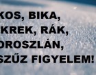 Bika,Oroszlán,Rák,Kos,Szűz,Ikrek: sokaknak tartogat nagy meglepetést a január 17-23-i hét