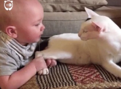 A kisbaba rángatja a macska hátsó lábát. Amit az anyukája ezután levideóz, az lavinaként terjedt el az egész interneten.