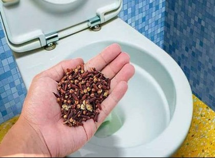 Amiről szinte senki nem tud: dobj szegfűszeget a wc-be és nem hiszel a szemednek!
