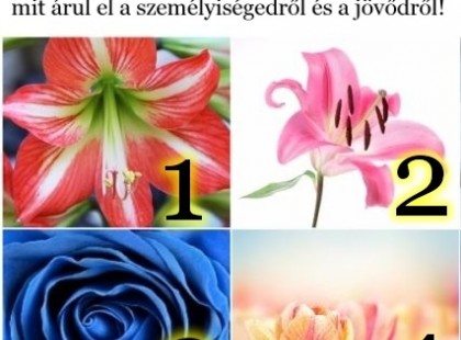 BÖKJ rá a legszebb virágra! Válassz egyet, és megtudhatod, mit árul el a személyiségedről és a jövődről!
