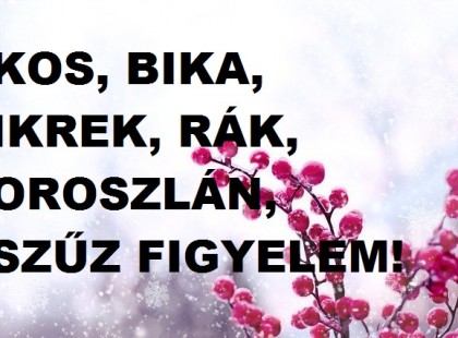 Oroszlán,Bika,Kos,Szűz,Rák,Ikrek: nagy meglepetést hoz a január 22-23-i hétvége