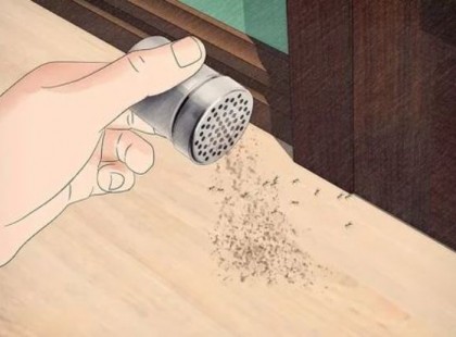 Anyósom fahéjat szórt a ház sarkaiba: azt hittem, csak babonás – de mióta elárulta az okát, én is így teszek!