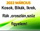 Megérkezett a nagy 2022-es márciusi horoszkóp:Kosok, Bikák, Ikrek,Rák ,oroszlán,szűz figyelem!