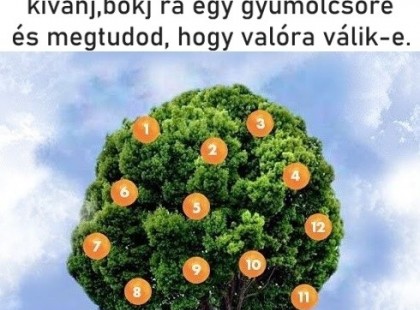 Kívánj valamit, válassz ki egy gyümölcsöt és nézd meg, hogy valóra válik-e 2022 februárjában!