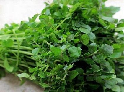 Mágnesként szívja ki a betegséget, egészségesebb még a káposztánál is, mégis elfeledkeztünk erről a zöldségről!