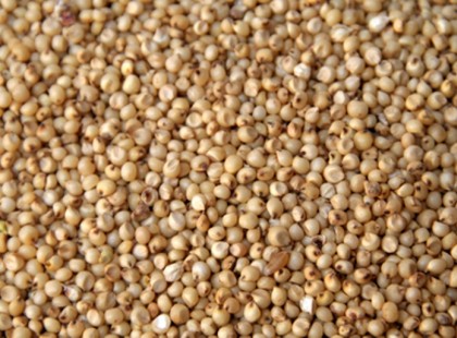 Nagyszüleink még minden nap ették: ők még tudták, hogy beállítja a vérnyomást, megelőzi az érelmeszesedést, lassítja a bőr öregedését!