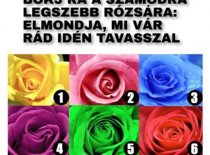 Bökj rá a számodra legszebb rózsára: elmondja, mi vár Rád idén tavasszal