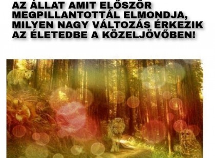 Az állat amit először megpillantottál elmondja, milyen nagy változás érkezik az életedbe a közeljövőben!
