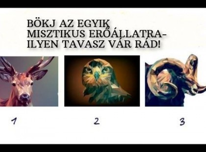 BÖKJ AZ EGYIK MISZTIKUS ERŐÁLLATRA- MEGMUTATJA, MILYEN TAVASZ VÁR RÁD!