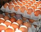 Drasztikus áremelést jelentettek be! Pár héten belül az egekbe szökik a tojás ára! Vérlázító, hogy mennyibe fog kerülni 1 tojás – itt az ár, ezen te is ledöbbensz!