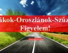 Rák-Oroszlán-Szűz: öveket becsatolni - a tavasz legenergikusabb hete következik