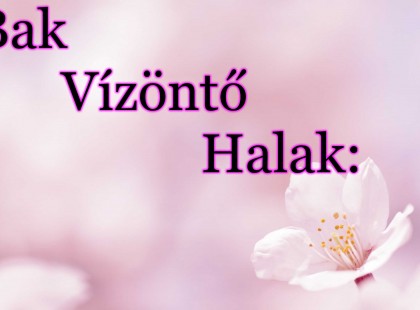 Bak-Vízöntő-Halak: Felsőbb erők irányítják életünket 2022 március utolsó hétvégéjén!