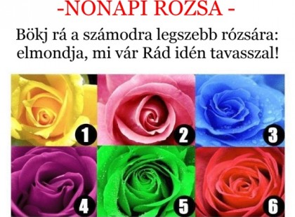 -Nőnapi rózsa!- Bökj rá a számodra legszebb rózsára: elmondja, mi vár Rád idén tavasszal