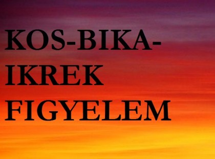 Bika, Ikrek,Kos:Vasárnapi nap sorsdöntő áttörést hoz a március 13-i hétvége!