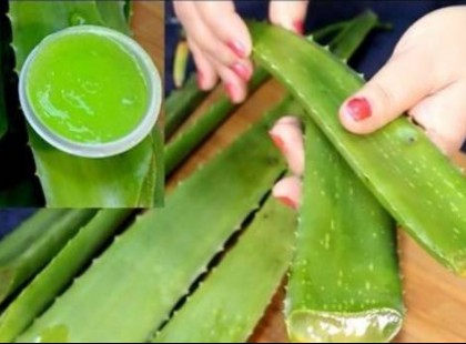 Eláruljuk a drága bolti aloe vera gél receptjét! Készítsd el magad, csodát tesz az egészségeddel!