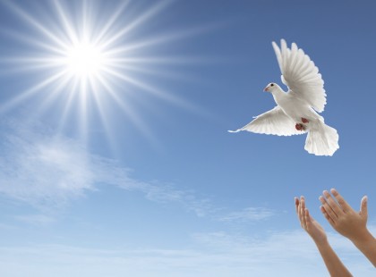 Raguel Arkangyal - A Béke Gyógyító Ereje !Adj békét, Uram, s tedd fölöslegessé a fegyvereket e csodálatos világban. Ámen.