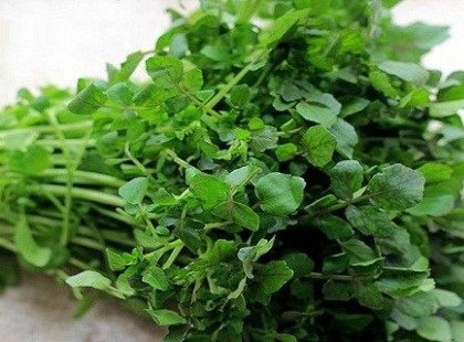 Mágnesként szívja ki a betegséget, egészségesebb még a káposztánál is, mégis elfeledkeztünk erről a zöldségről!