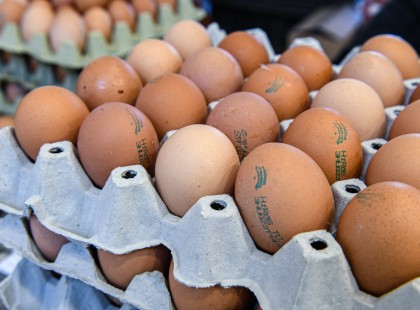 100 forint lesz egy darab tojás 8 hónapon belül, aztán tovább drágulhat