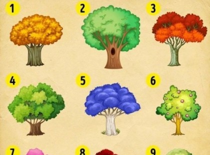 Válassz egy varázsfát és nézd meg, mi vár rád 2022 -ben !