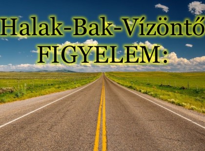 Halak-Bak-Vízöntő: Sokak életében nagy változás indul ezen a gyönyörű tavaszi hétvégén!