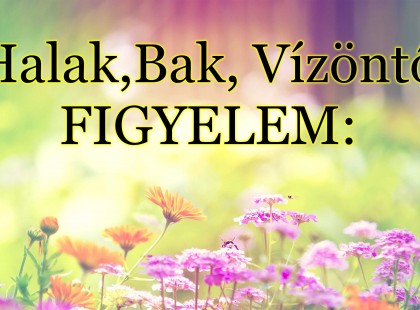 Halak,Bak, Vízöntő: Csodálatos hírünk van számodra!