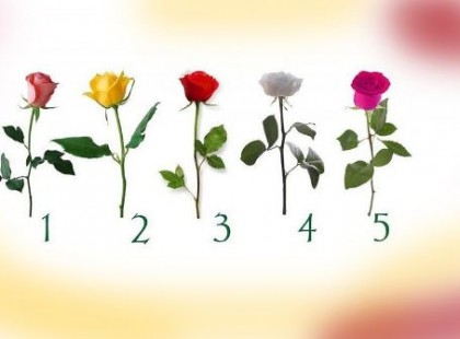 Válassz egy rózsát! Döntésedből kiderül, mikor teljesül be a kívánságod