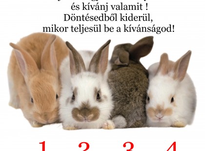 Válassz egy varázsnyuszit! Döntésedből kiderül, mikor teljesül be a kívánságod
