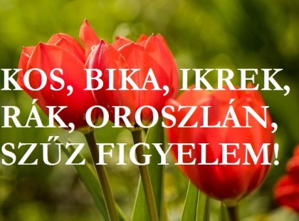 Kos, Bika,Ikrek, Rák, Oroszlán, Szűz: sorsdöntő napok következnek!