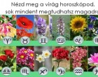 Nézd meg a virág horoszkópod, sok mindent megtudhatsz magadról