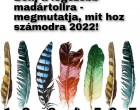 Bökj a legszebb madártollra – megmutatja, mit hoz számodra 2022!