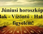Júniusi horoszkóp:Bak - Vízöntő - Halak figyelem!
