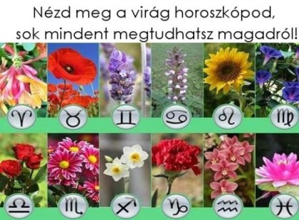 Nézd meg a virág horoszkópod, sok mindent megtudhatsz magadról
