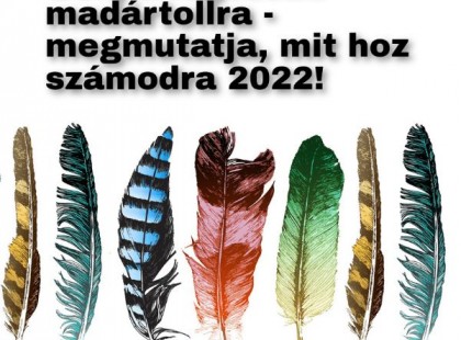 Bökj a legszebb madártollra – megmutatja, mit hoz számodra 2022!