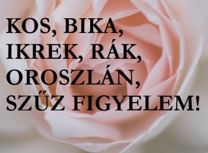 Kos,Rák,Bika, Ikrek,Szűz,Oroszlán! Fortuna óriási dolgokat tartogat most a számodra!