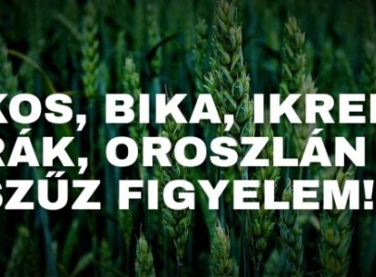 Kos,Bika,Ikrek,Szűz,Rák,Oroszlán: Fényes időszakra számíthatsz az életedben! Ezek következnek: