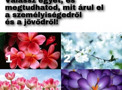 BÖKJ rá a legszebb virágra! Válassz egyet, és megtudhatod, mit árul el a személyiségedről és a jövődről!