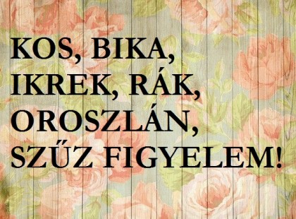 Kos-Rák-Bika-Szűz-Ikrek-Oroszlán: Csodálatos dolgok történnek velünk a következő napokban!