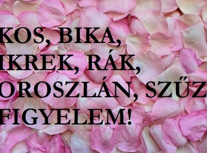 Kos, Bika,Oroszlán,Rák,Ikrek,Szűz! Szerencse érkezik az életedbe, ha a kiválasztott jegyekbe tartozol ezen belül!