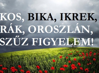 Kos,Bika, Oroszlán,Ikrek, Rák, Szűz: hihetetlen szerencse köszönt erre a jegyre a hétvégén!