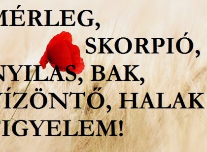 Bak,Skorpió,Vízöntő, Nyilas, Halak, Mérleg figyelem! Pénz, szerelem, egészség és karrier fordulóponthoz érkezünk!