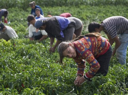 518 ezret keres egy átlag magyar a KSH szerint.. Ön is ennyit keres?!