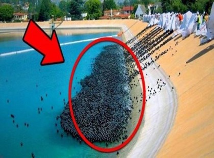 Fogalmunk nincs ki találta ki ezeket az ötleteket, de egyszerűen zseniálisak!