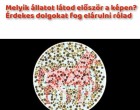 Melyik állatot látod először a képen? Érdekes dolgokat fog elárulni rólad