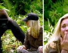 A férfi évekig nevelt két gorillát: mikor 6 év múlva a feleségét is bemutatja nekik, óva intik őket, mégis túl közel mennek